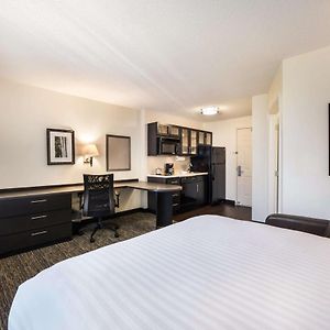 Studio Suite